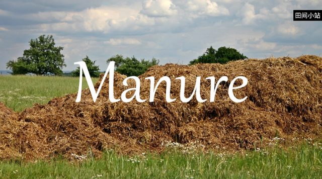 小词详解 | manure