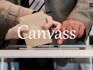 小词详解 | canvass