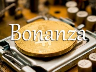 小词详解 | bonanza