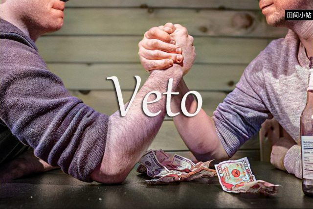 小词详解 | veto