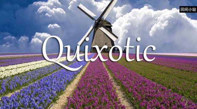 小词详解 | quixotic