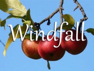 小词详解 | windfall