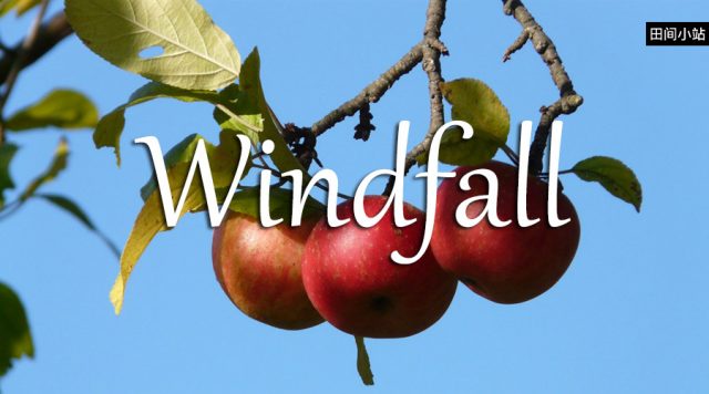 小词详解 | windfall