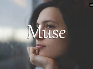 小词详解 | muse