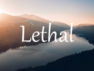 小词详解 | lethal