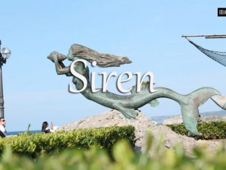 小词详解 | siren