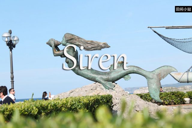 小词详解 | siren