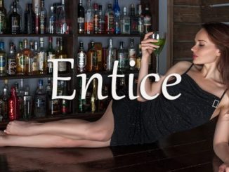 小词详解 | entice