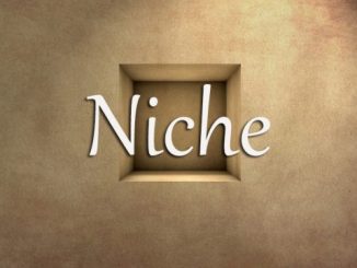 小词详解 | niche