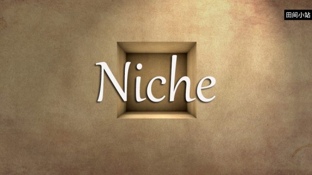 小词详解 | niche