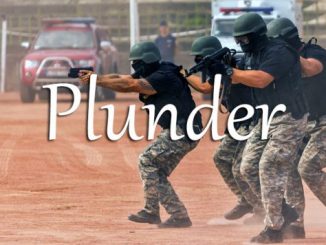 小词详解 | plunder