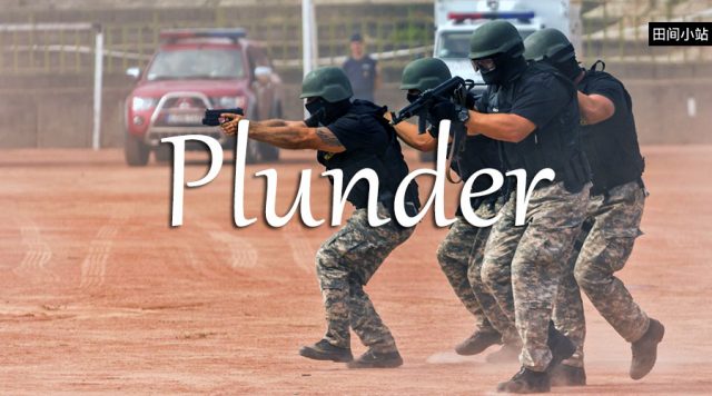 小词详解 | plunder