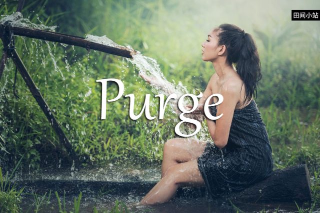 小词详解 | purge