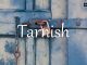 小词详解 | tarnish