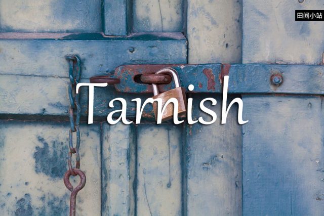 小词详解 | tarnish