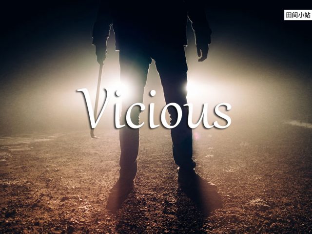 小词详解 | vicious