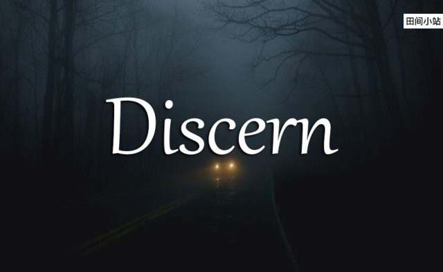 小词详解 | discern