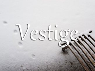 小词详解 | vestige