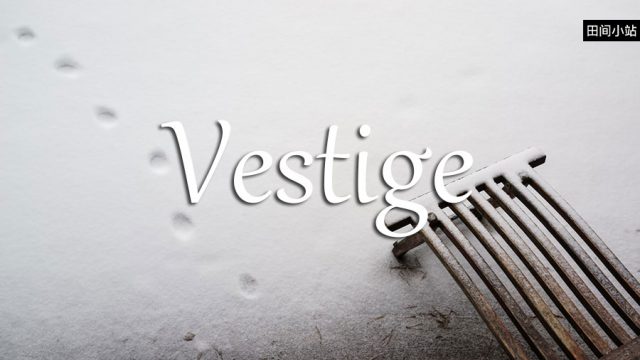 小词详解 | vestige