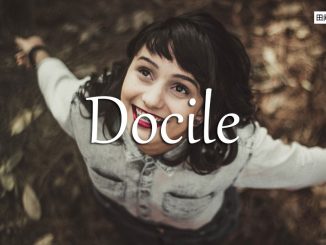 小词详解 | docile