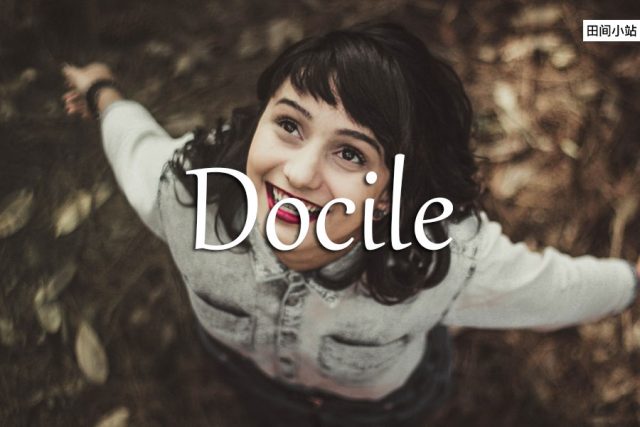 小词详解 | docile