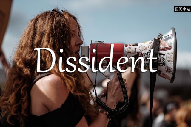 小词详解 | dissident