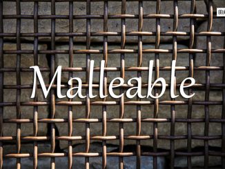 小词详解 | malleable