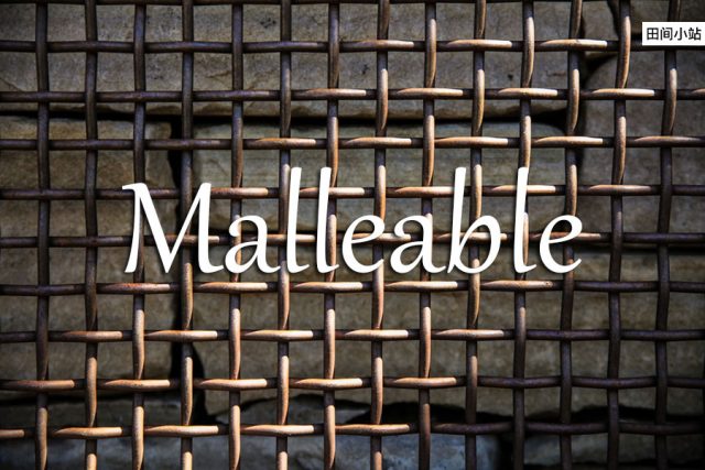 小词详解 | malleable