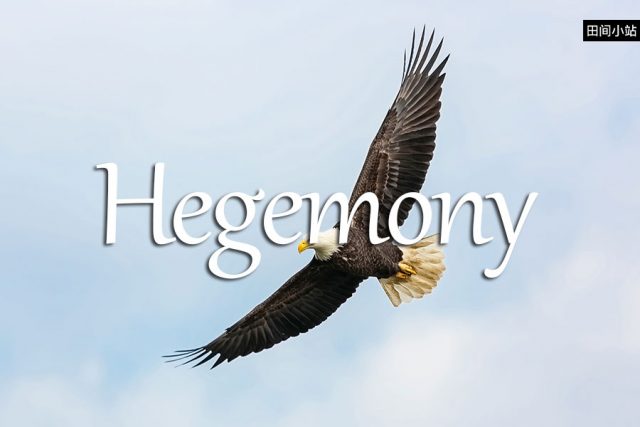 小词详解 | hegemony