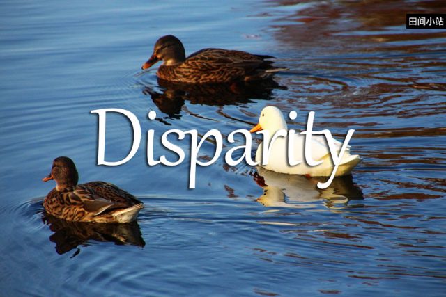 小词详解 | disparity