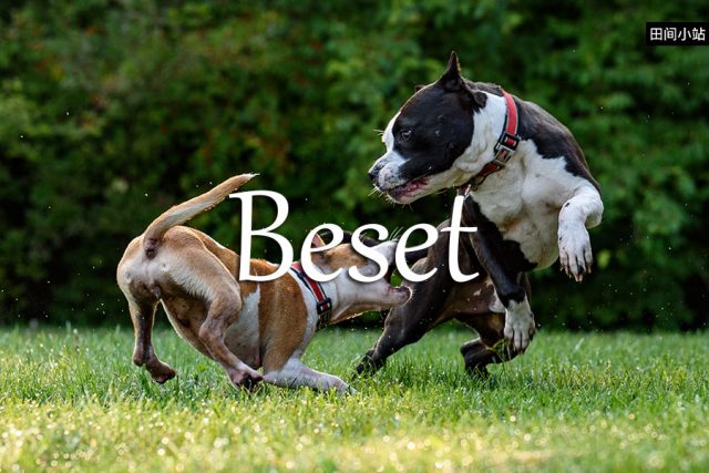 小词详解 | beset