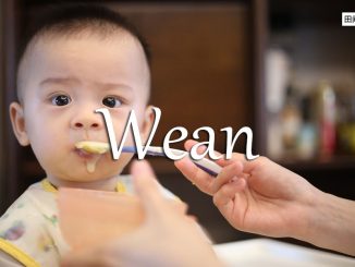 小词详解 | wean