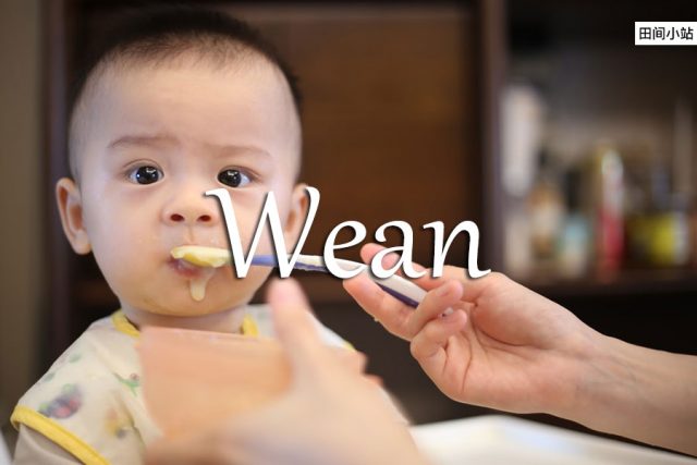 小词详解 | wean