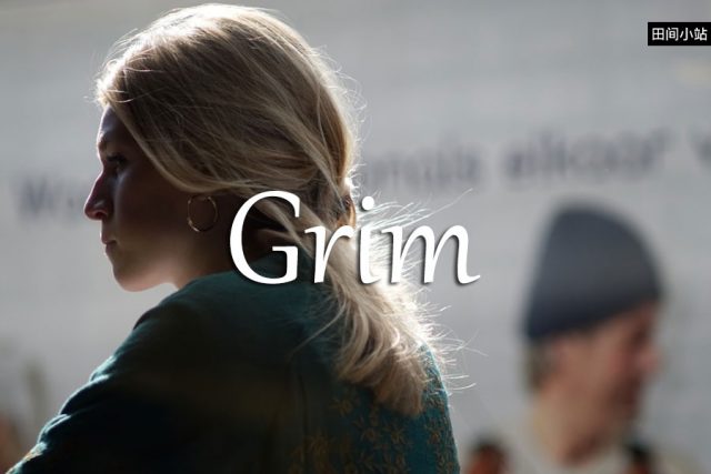 小词详解 | grim