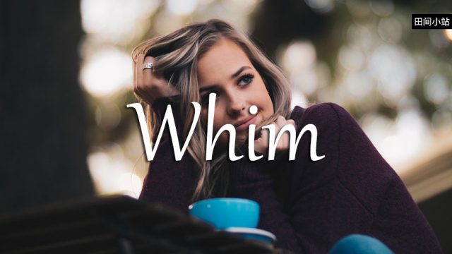 小词详解 | whim