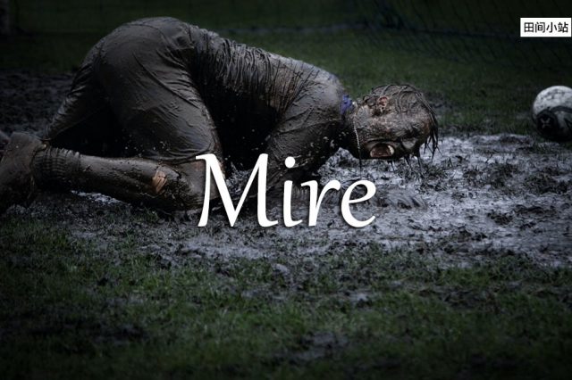 小词详解 | mire