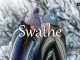 小词详解 | swathe