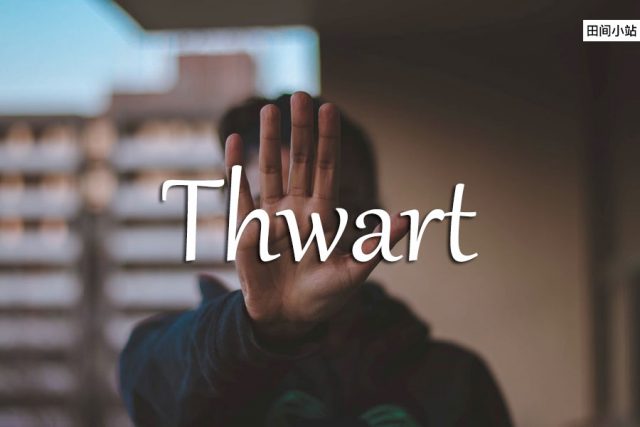 小词详解 | thwart