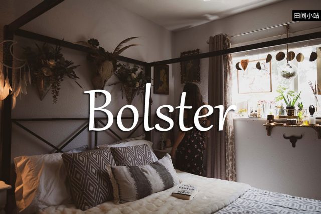 小词详解 | bolster