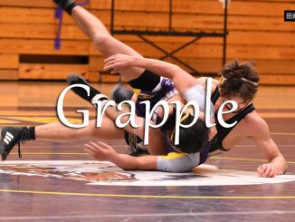 小词详解 | grapple