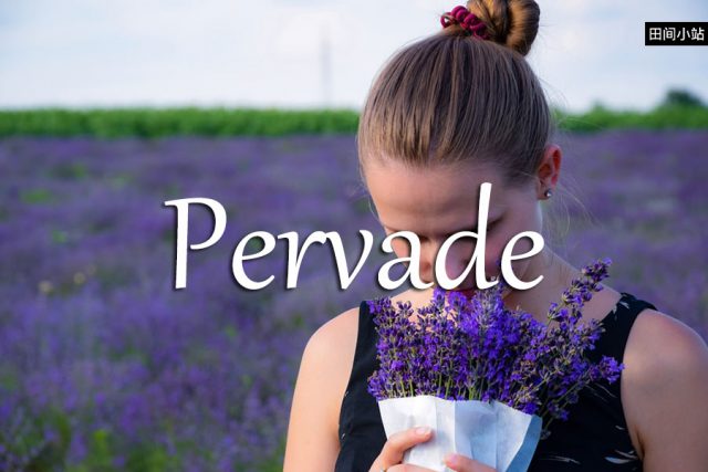 小词详解 | pervade