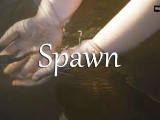 小词详解 | spawn