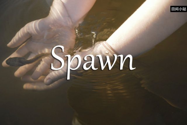 小词详解 | spawn