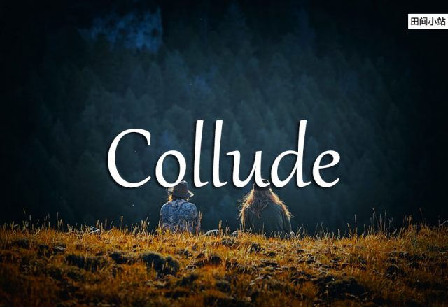 小词详解 | collude