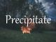 小词详解 | precipitate