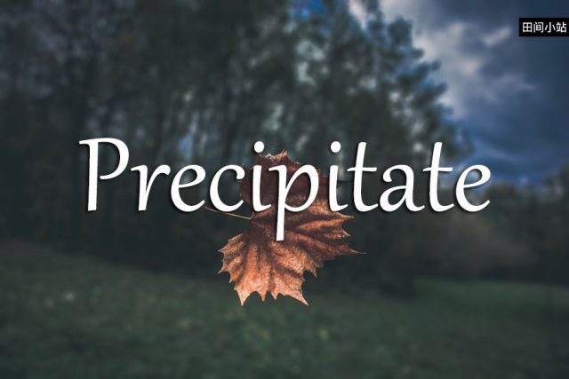 小词详解 | precipitate