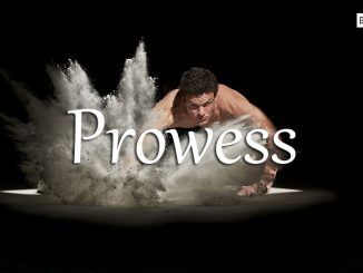 小词详解 | prowess