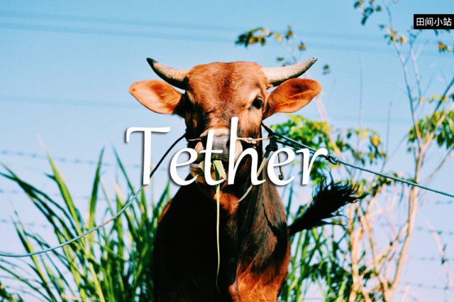 小词详解 | tether