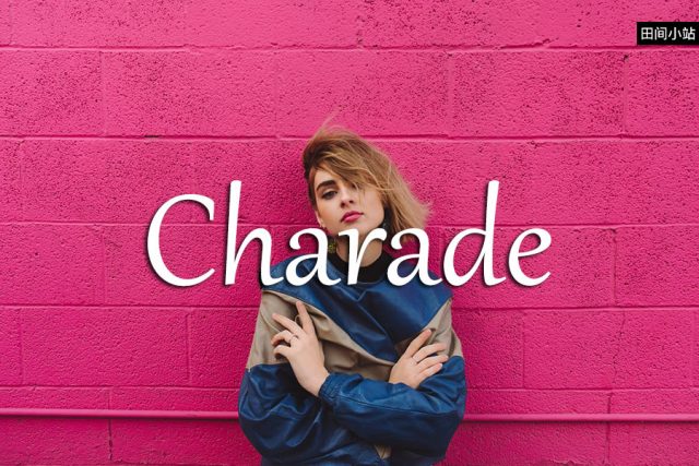 小词详解 | charade