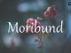 小词详解 | moribund